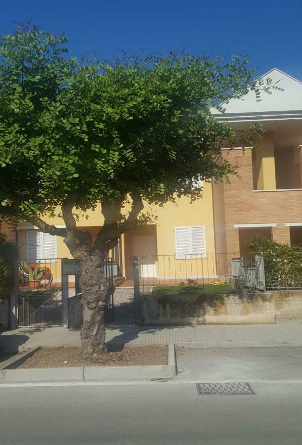 Appartamento Emilia Cupra Marittima Ngoại thất bức ảnh